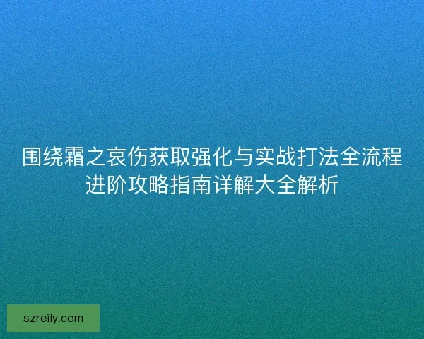 围绕霜之哀伤获取强化与实战打法全流程进阶攻略指南详解大全解析